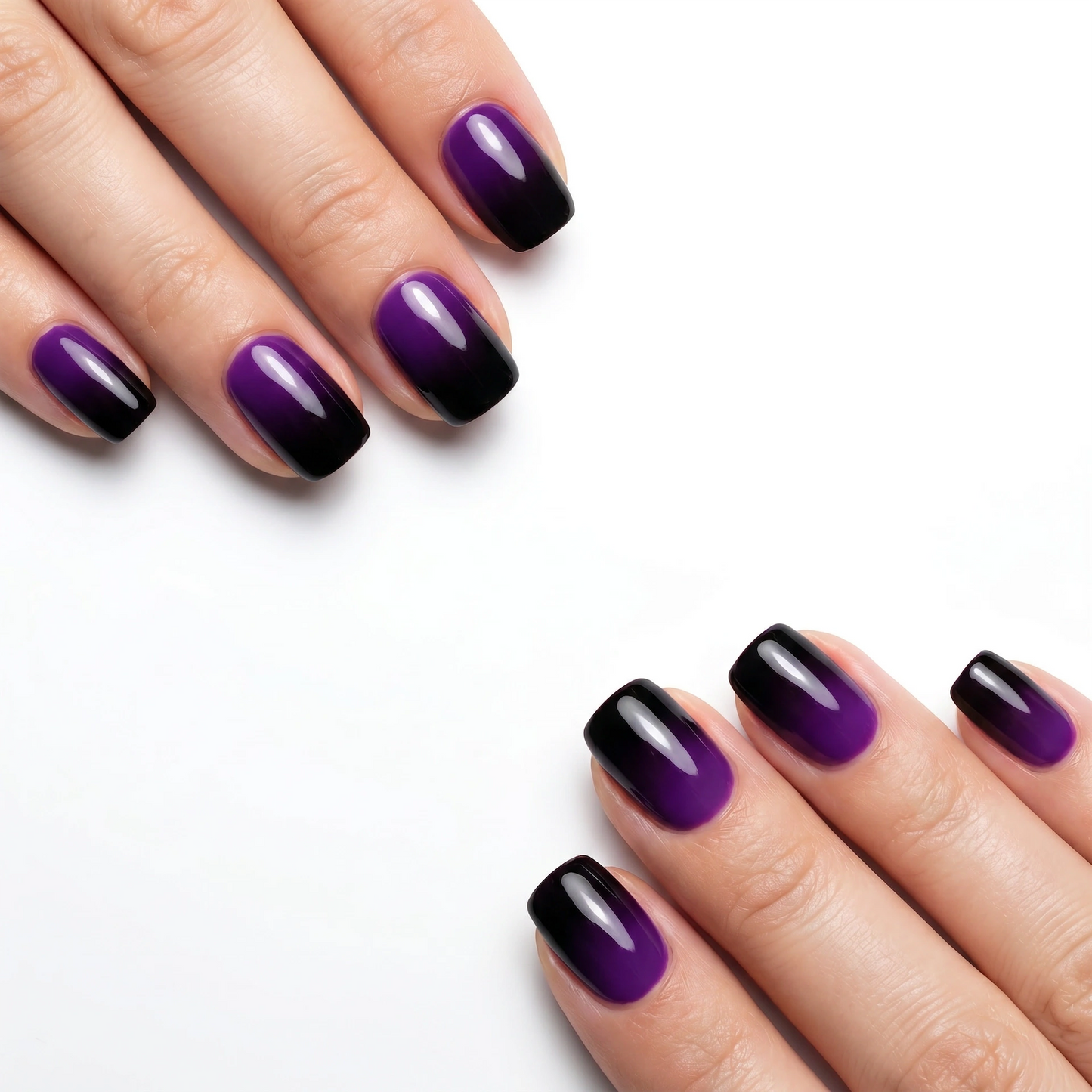 Midnight Nova Nail Set